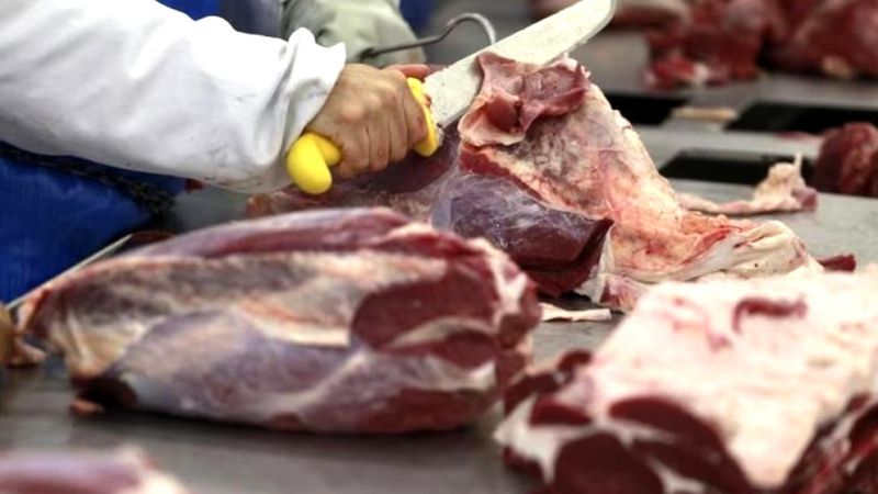 Curso de manipulación de alimentos orientado a carnicerías