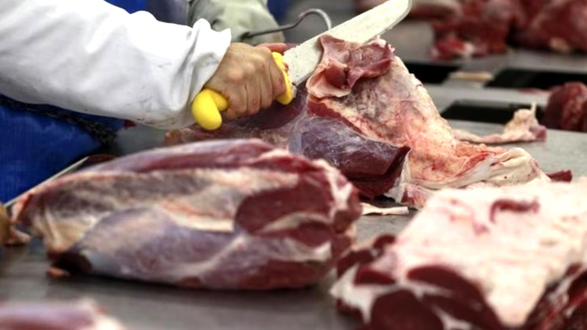 Curso de manipulación de alimentos orientado a carnicerías