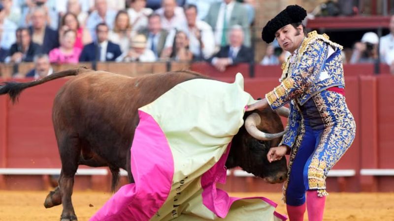 Morante de la Puebla en estado "muy grave" tras sufrir una cornada (Videos)