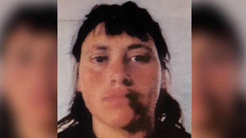 Buscan a una mujer que se escapó de la guardia de hospital Schestakow