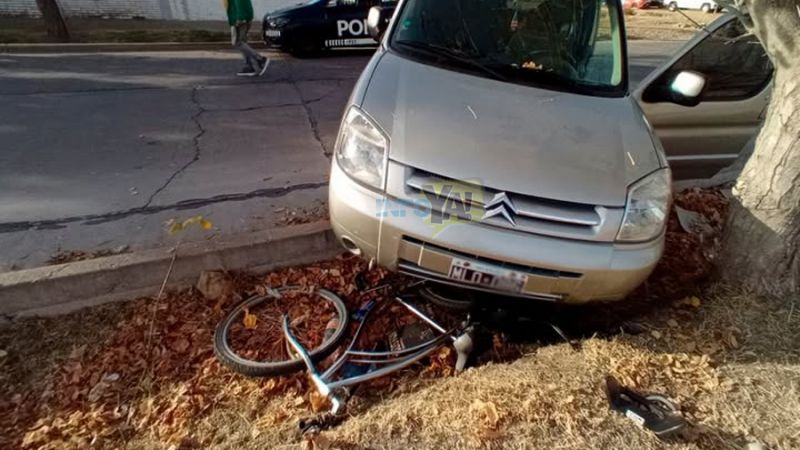 Arrolló a una mamá y a su hijo y deberá pagar una condena millonaria