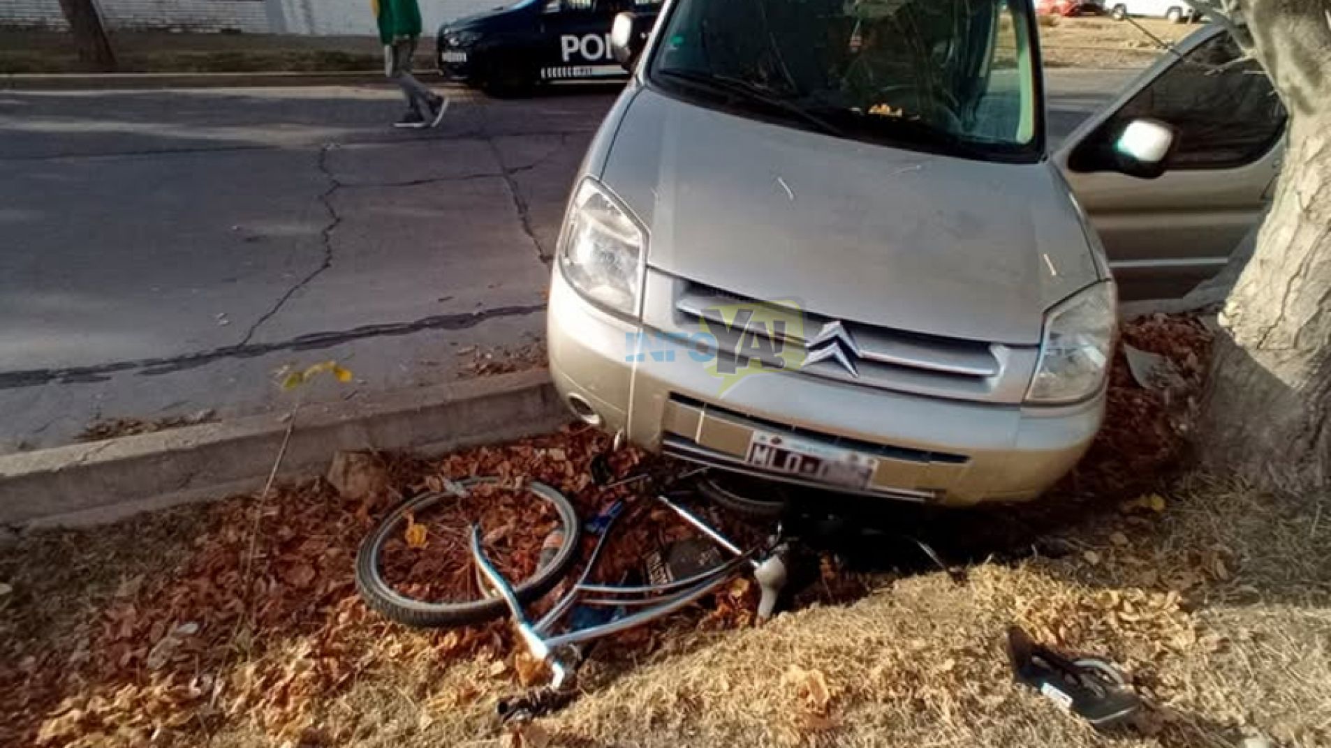 Arrolló a una mamá y a su hijo y deberá pagar una condena millonaria