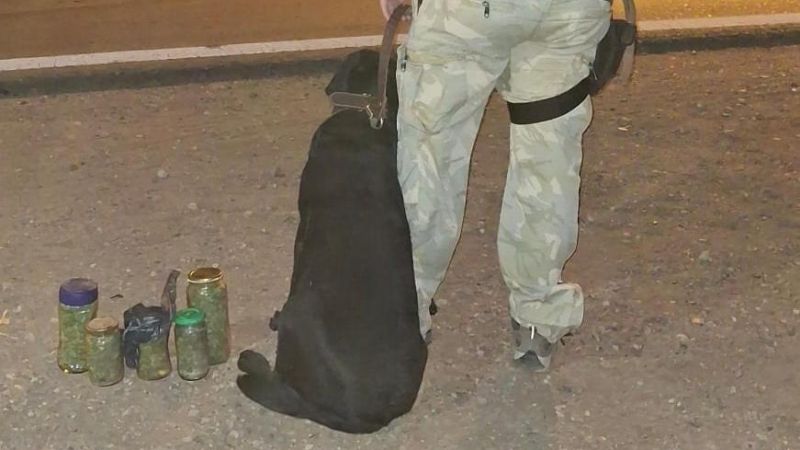 En un micro sorprendieron a una pareja con frascos de cogollos de marihuana