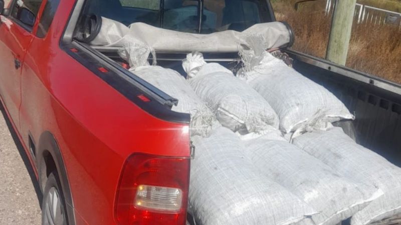 Detuvieron a dos hombres por el robo de 300 kilos de ciruela a un secadero