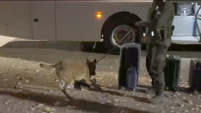 Encontraron una encomienda con marihuana en un colectivo en El Sosneado