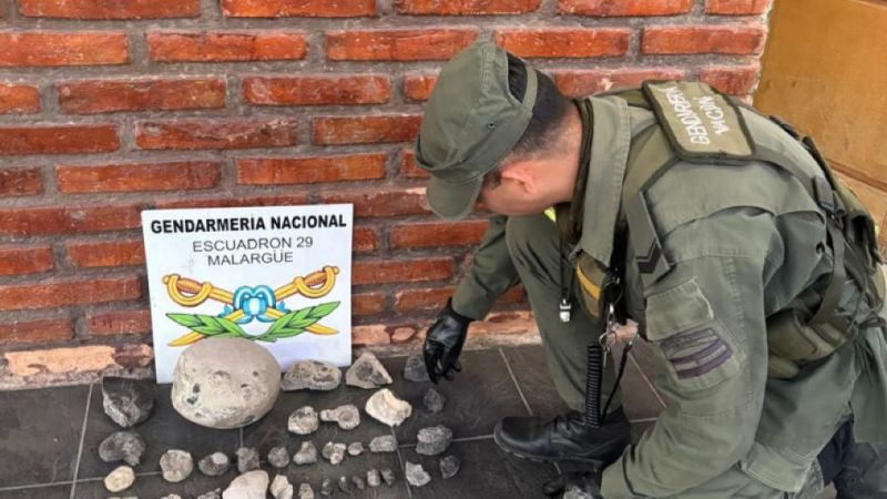 Gendarmes hallaron fósiles en el baúl de un auto que controlaron en El Sosneado