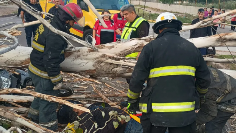 Viento trágico: un árbol cayó sobre motociclistas y mató a uno