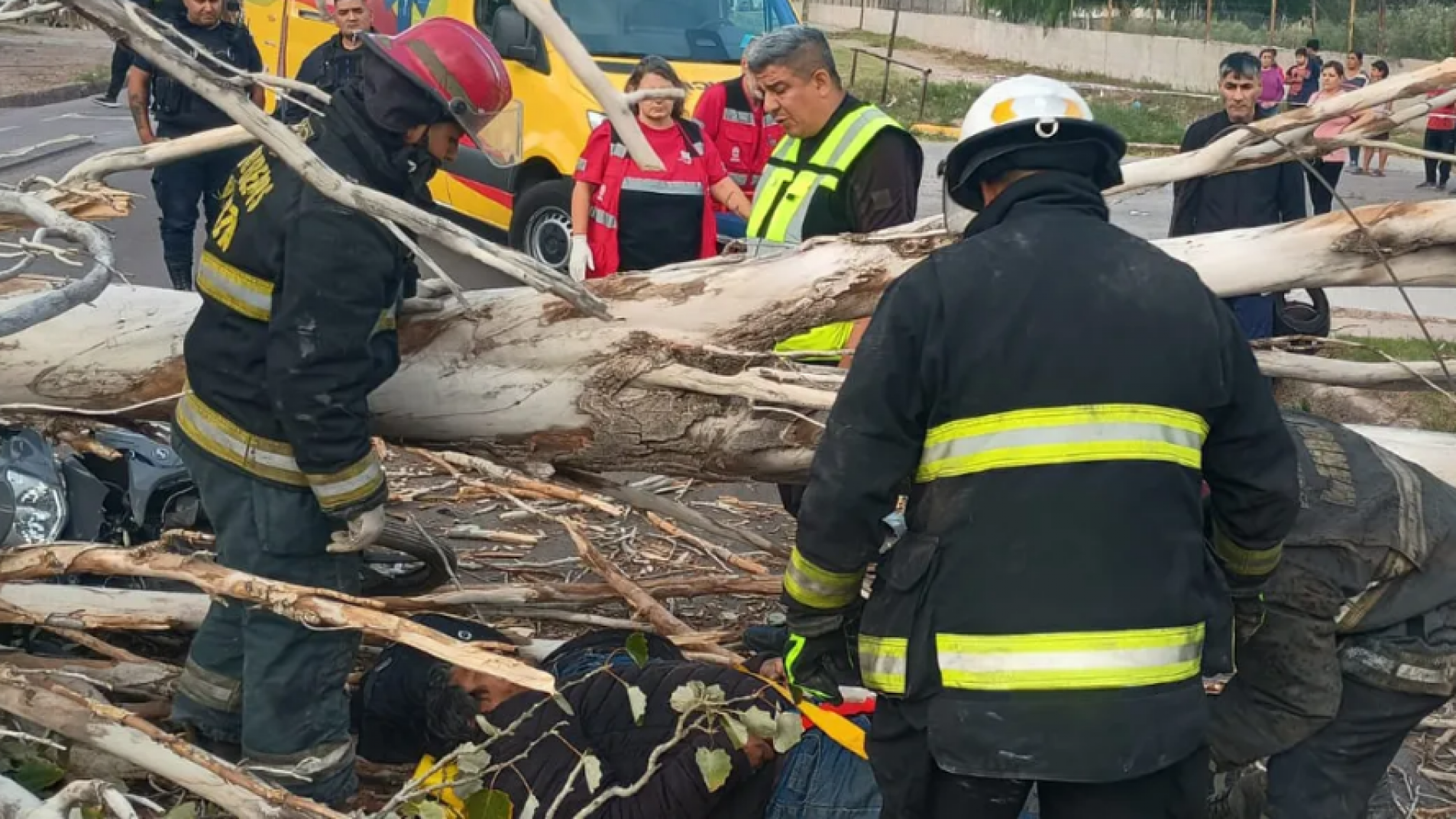 Viento trágico: un árbol cayó sobre motociclistas y mató a uno