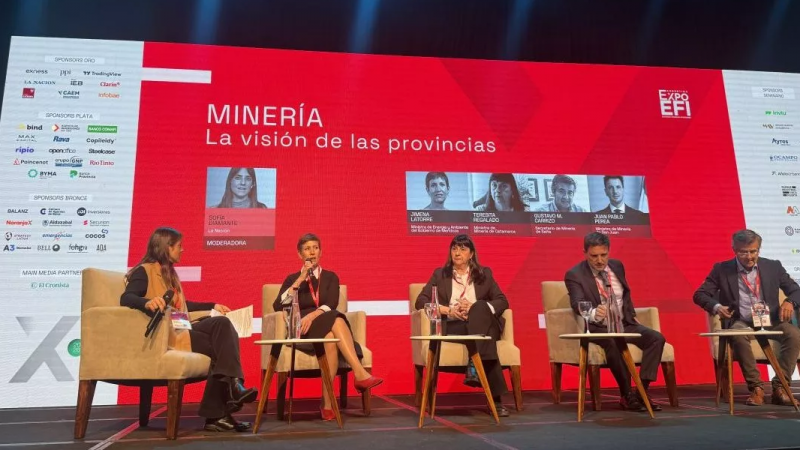 Agenda minera de Mendoza: Latorre fue interrumpida por ambientalistas