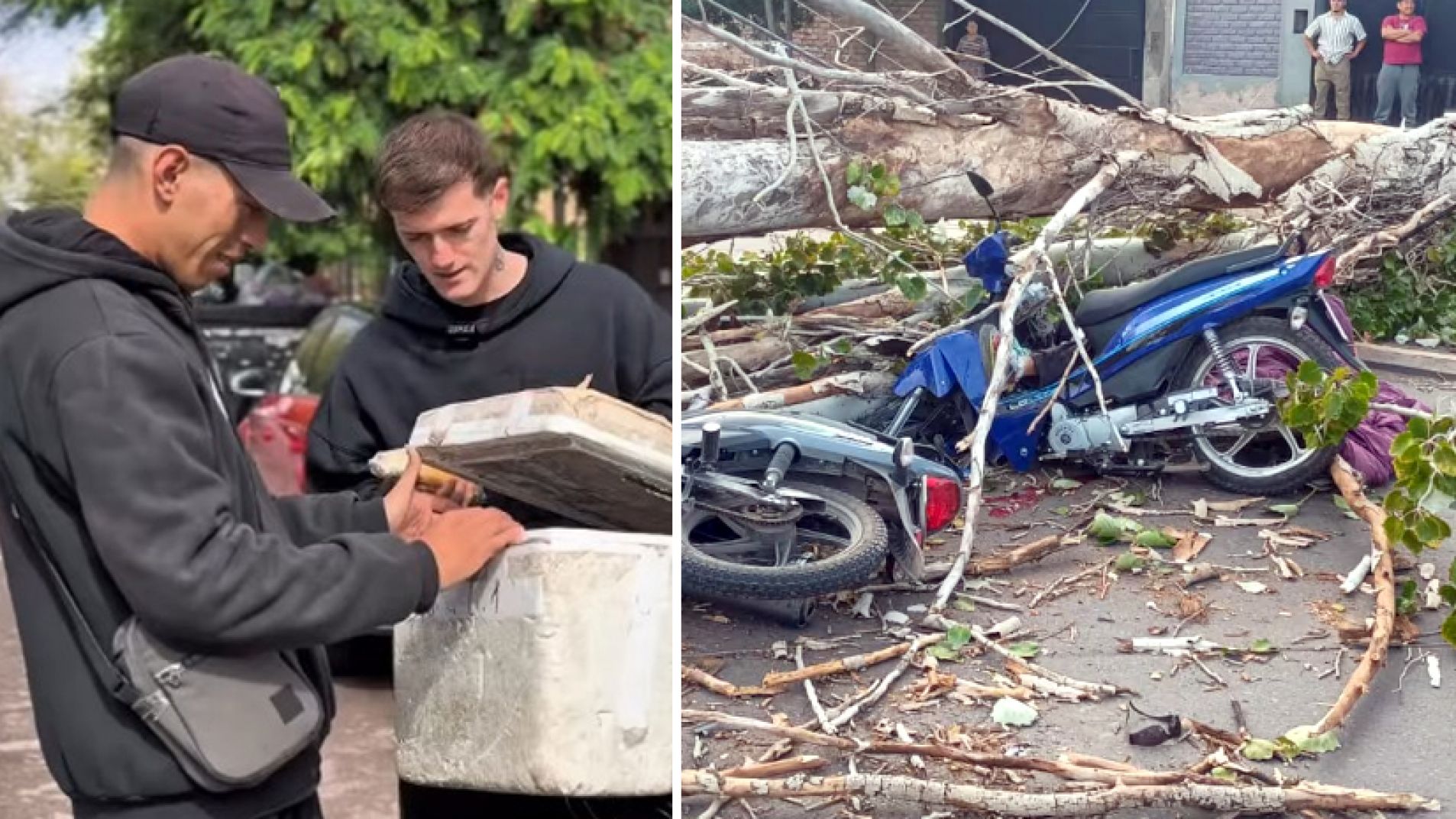 El influencer ruso había entrevistado al joven que murió aplastado por un árbol