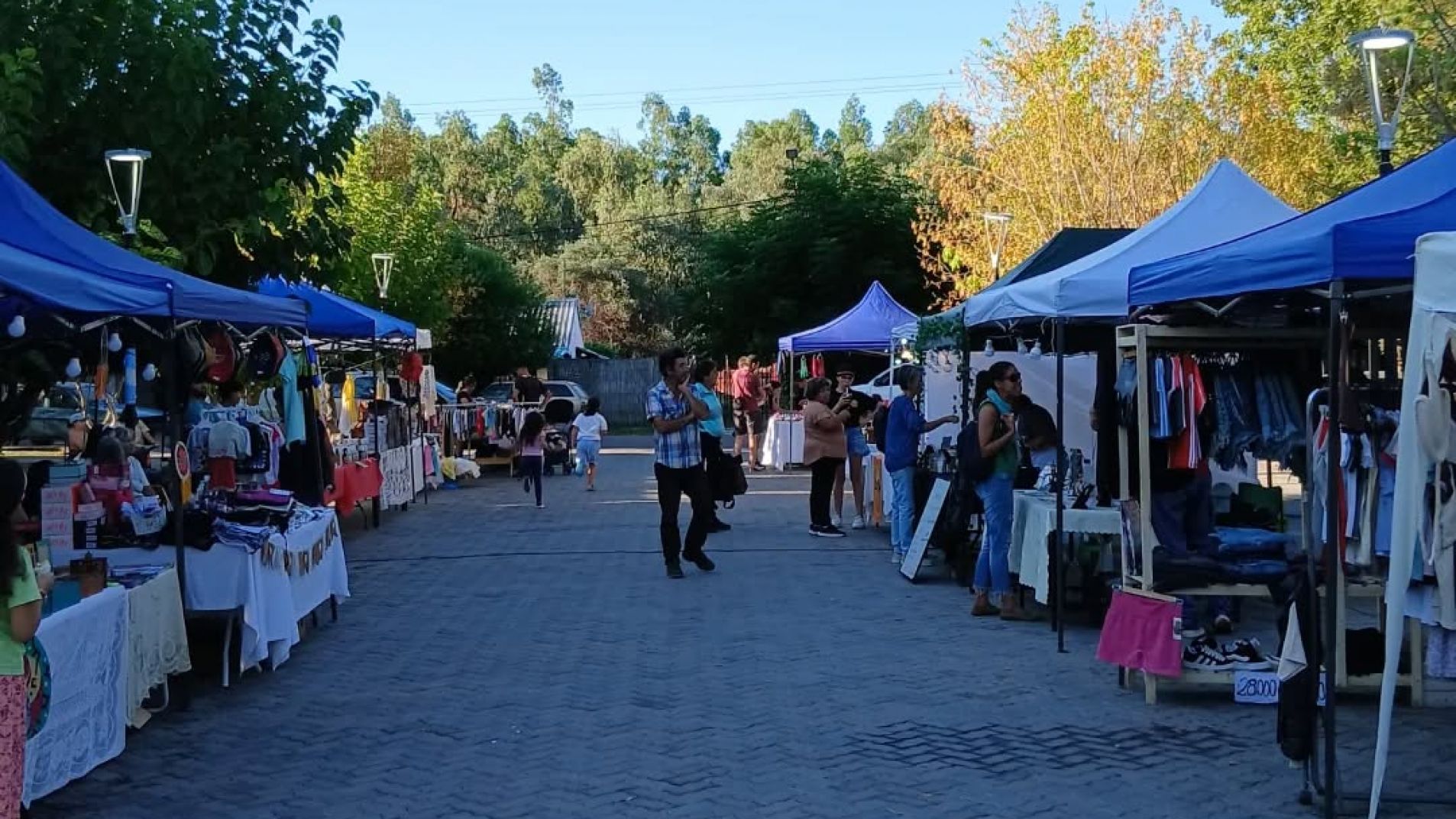 Participan 50 expositores en la popular feria de Rama Caída.