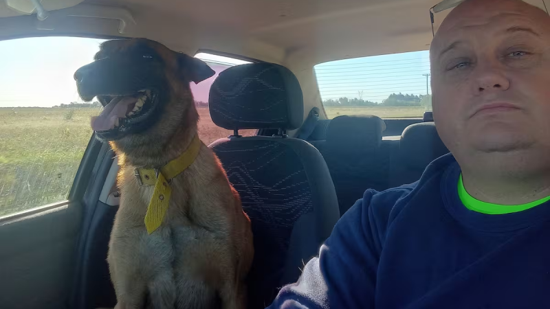El emotivo reencuentro entre un perro y su dueño: "Me siento feliz" (Video)