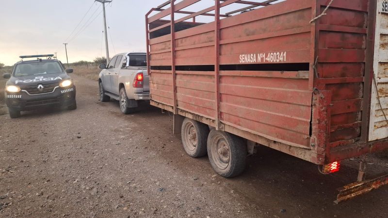 Secuestraron animales y un tráiler en General Alvear