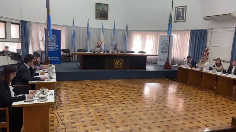 Polémico subsidio: el oficialismo negó que se trate de un "cheque en blanco"