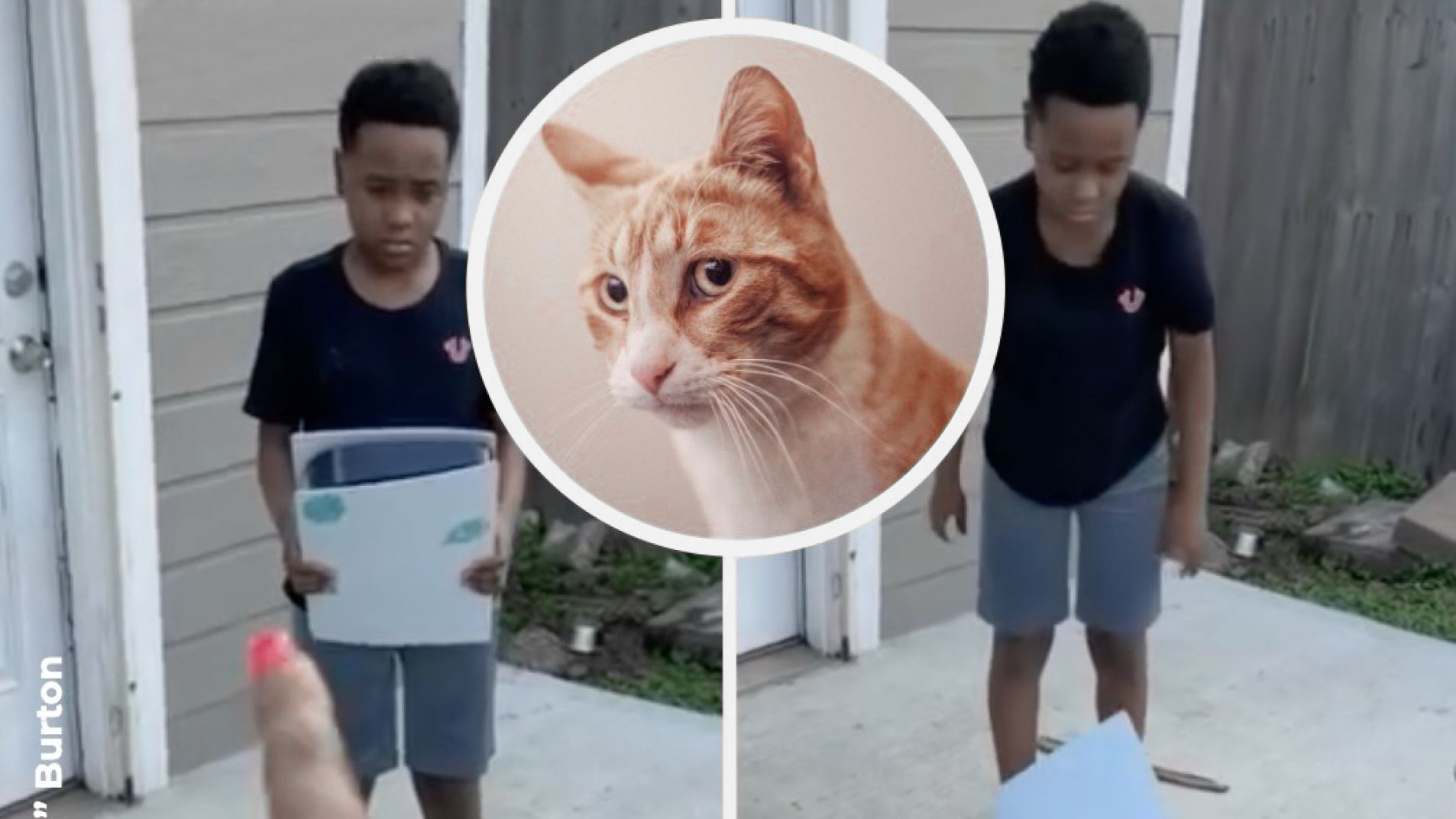 Un niño maltrató a su gato y la madre de castigo lo obligó a destruir su Play