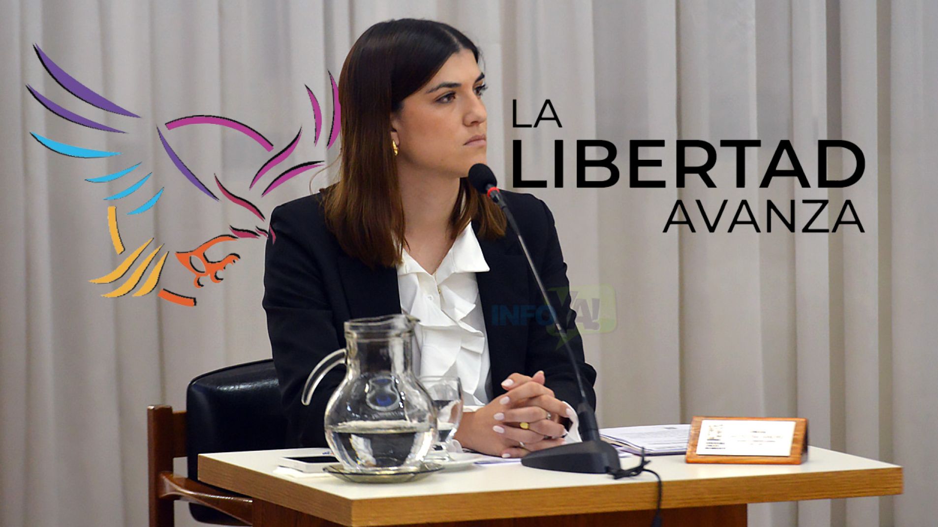 Quedó claro quien es el verdadero libertario en el Concejo