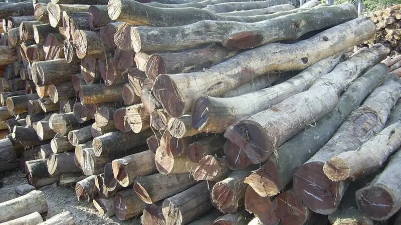 Robaron postes de viñas del interior de una finca