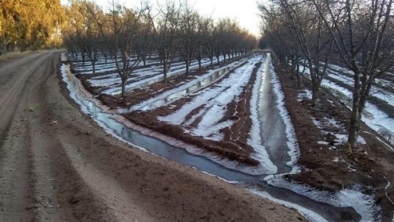 Convocan a productores a actualizar el RUT antes del 31 de mayo