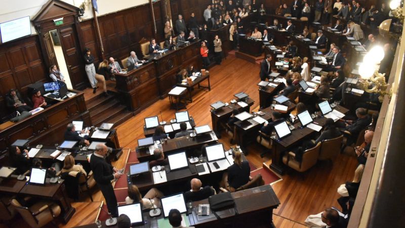 Diputados aprobó una guía práctica de pasantías no rentadas para alumnos