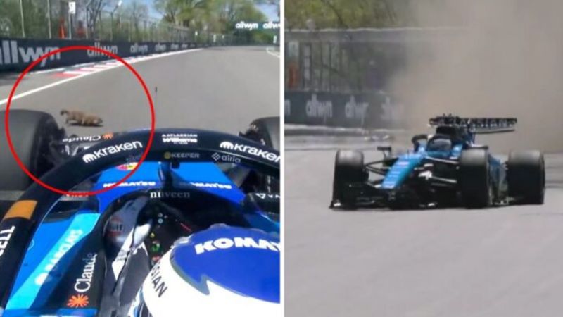 El brutal accidente de Alex Albon tras atropellar a una marmota en el GP de Canadá