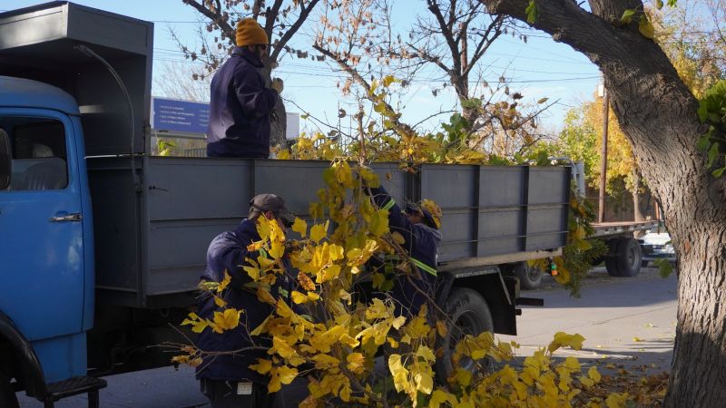 Operativo de poda y limpieza en ciudad y distritos