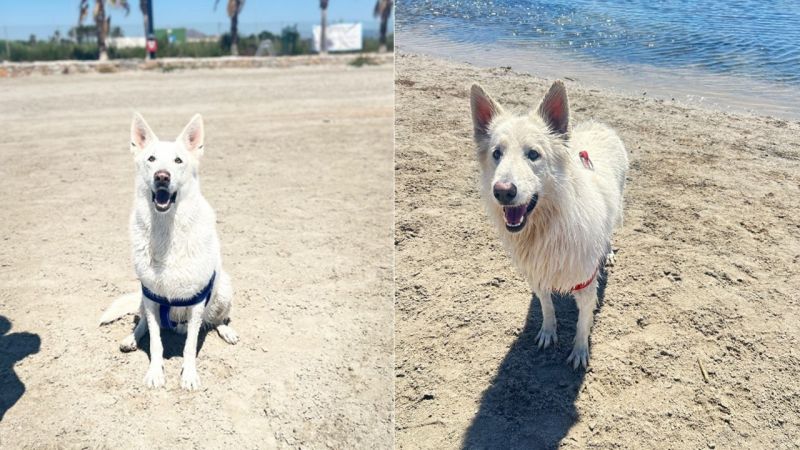 Gracias a la solidaridad Max y Alaska pudieron viajar y ya están con su familia