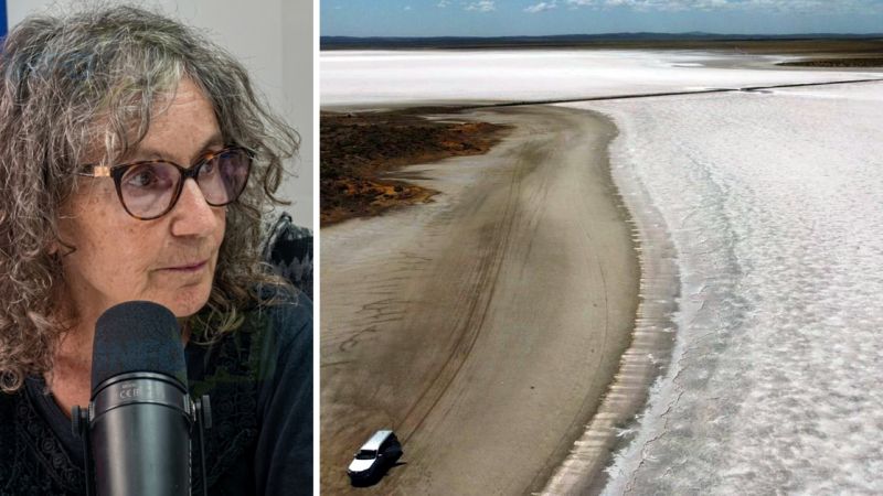 Pilar Castilla: "Don Luis y Otro es una violación de leyes ambientales"
