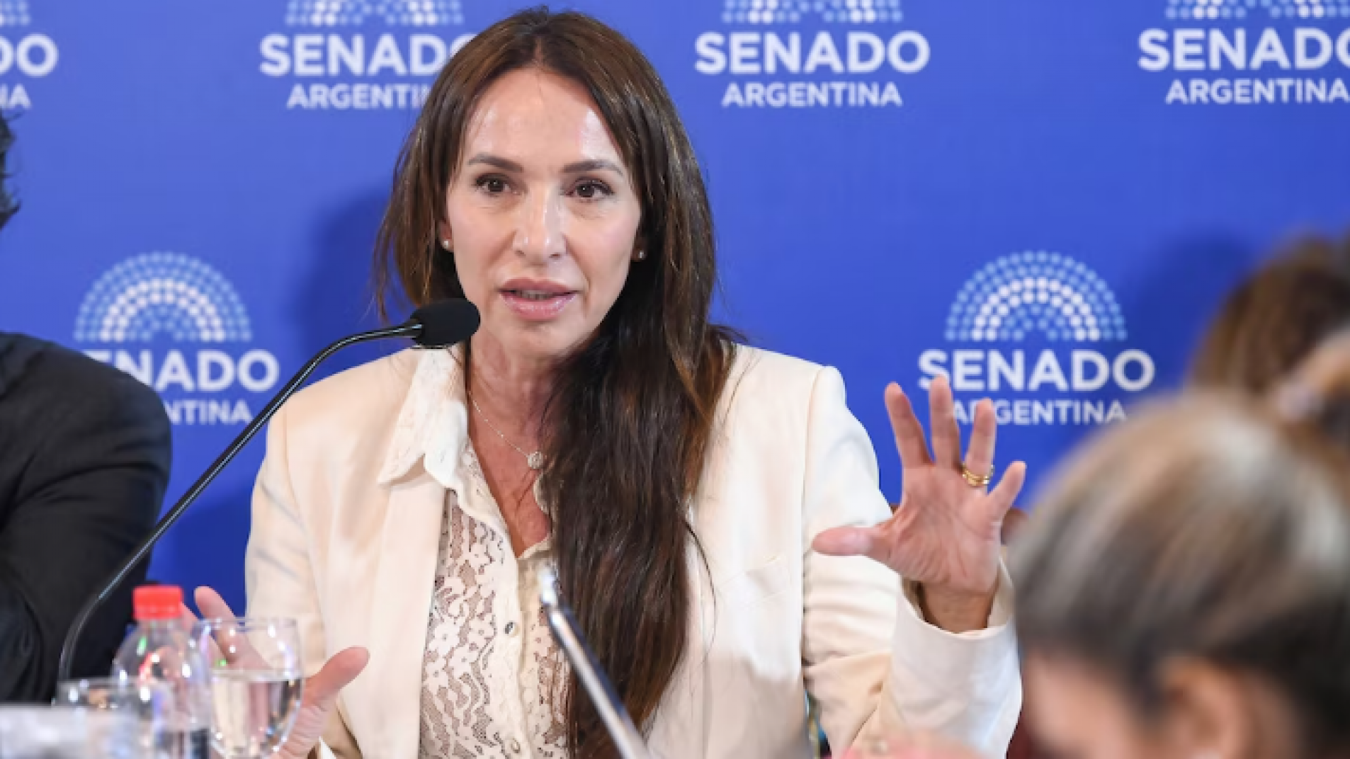El Senado aprobó a Michelli pese al rechazo de Milei