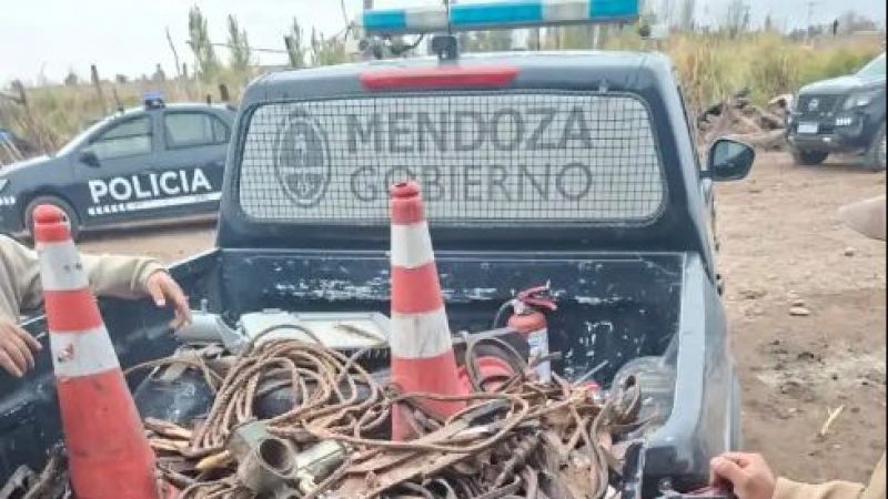 Más de 50 animales secuestrados en una causa por abigeato