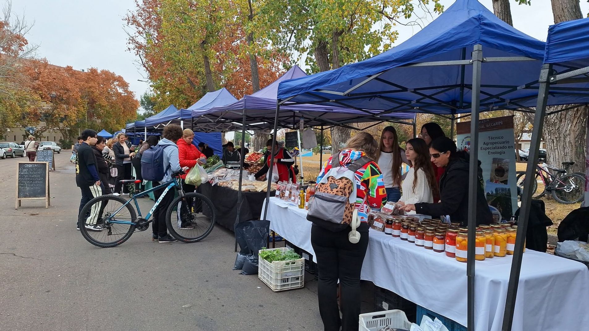 La escuela Pascual Iaccarini participó el viernes pasado de la Feria Franca.